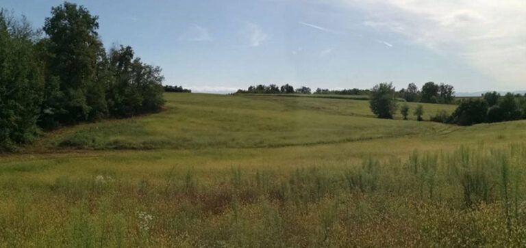 LA RISERVA DI CACCIA TENUTA BONICELLI IN TURISMOVENATORIO.IT