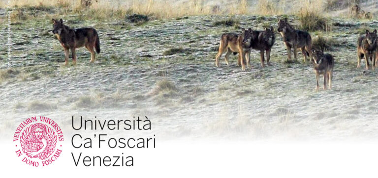 MASTER IN AMMINISTRAZIONE E GESTIONE DELLA FAUNA SELVATICA