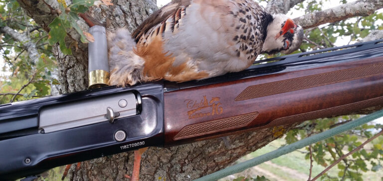 BROWNING A5 SWEET SIXTEEN … IL CALIBRO 16 DALLE “CANNE SANTE”
