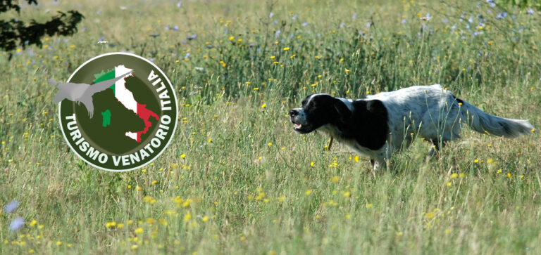 LA STAGIONE DI CACCIA SI AVVICINA … PREPARIAMO IL CANE