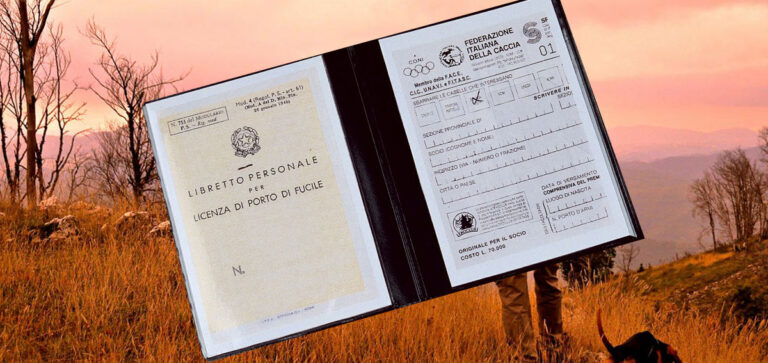 PORTI D’ARMA: FITAV INFORMA