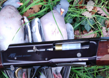 UNA STAGIONE INTERA CON IL BROWNING A5 CALIBRO 16
