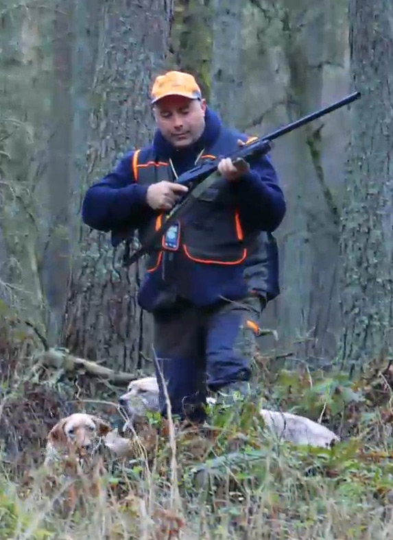 Allevamento amatoriale del setter inglese Fianesni's caccia
