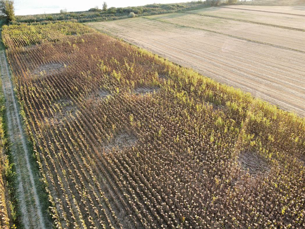 ATC Perugia 1 caccia gestione territorio fauna