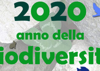 FIOCCHIBIODIVERSITY: THE ROLE OF HUNTERS RECOGNIZED BY THE EU