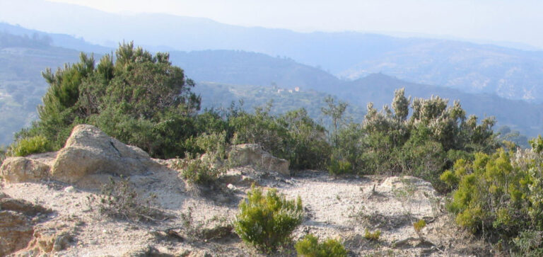 CALENDARIO VENATORIO 2018 2019 DELLA CALABRIA