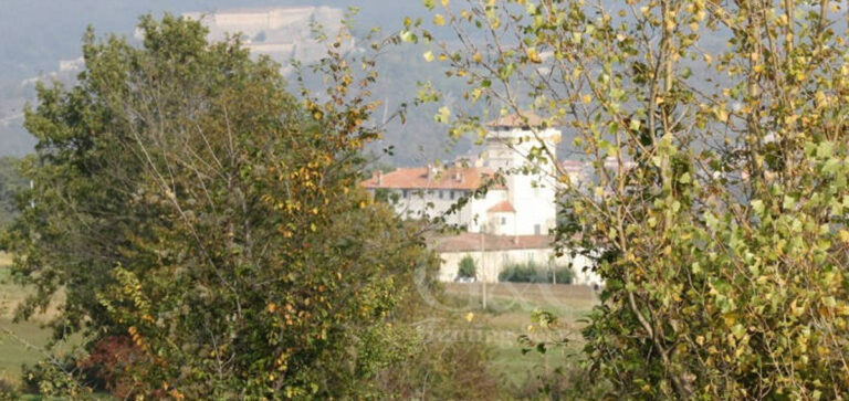 TURISMO VENATORIO: LA CENTURIONA, A CACCIA IN PROVINCIA DI ALESSANDRIA