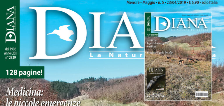 DIANA NUMERO 5 IN EDICOLA