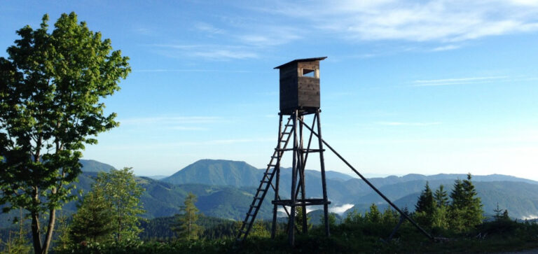 CAMPAGNA PRO CACCIA IN AUSTRIA