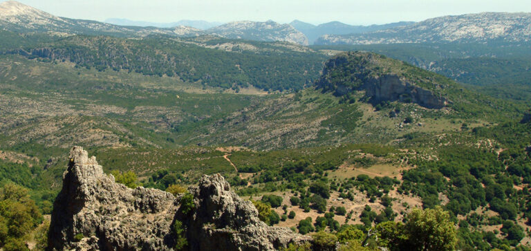 FEDERCACCIA SARDEGNA E IL CALENDARIO VENATORIO REGIONALE