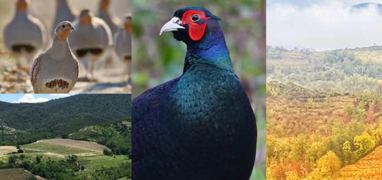 TURISMO VENATORIO: RISERVA LA LAVAGNINA SI RACCONTA