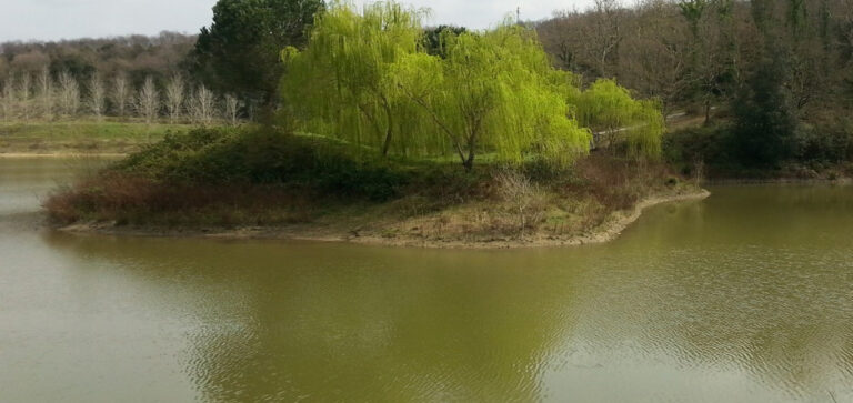 LAGHI DA CACCIA: GIOIELLI DI BIODIVERSITA´