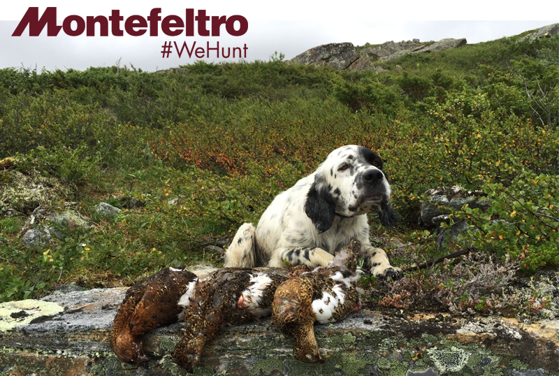 montefeltro le più importantio esperienze di caccia turismo venatorio world