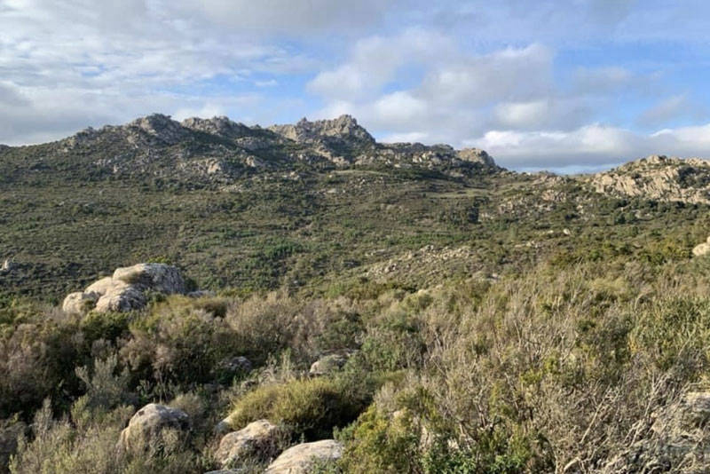 pedra e nae riserva di caccia sardegna gallura