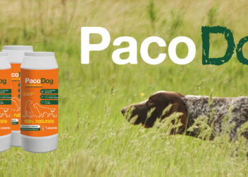 PACODOG: STOP AI PARASSITI DEL CANE