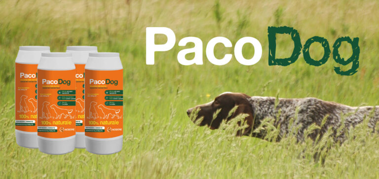 PACODOG: STOP AI PARASSITI DEL CANE