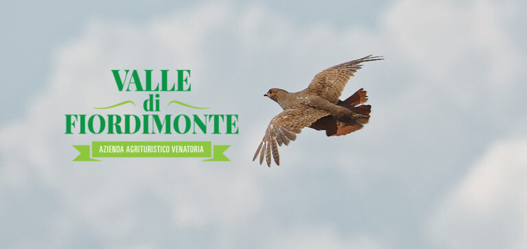 VALLE DI FIORDIMONTE: LA CACCIA DI RECUPERO