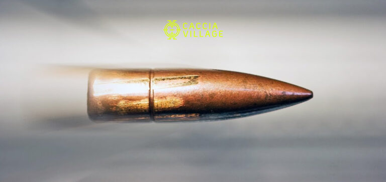 CACCIA VILLAGE: IL PROIETTILE NEL TIRO LONG RANGE