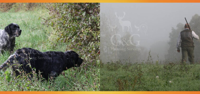 TURISMO VENATORIO: RISERVA DI CACCIA REGANZO NELL’OLTREPO PAVESE