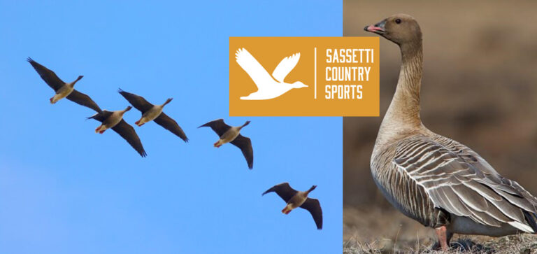 LA CACCIA IN SCOZIA CON SASSETTI. EMOZIONI IN VOLO!!
