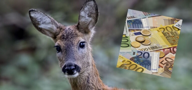 FEDERCACCIA UMBRA ATTACCA IL WWF