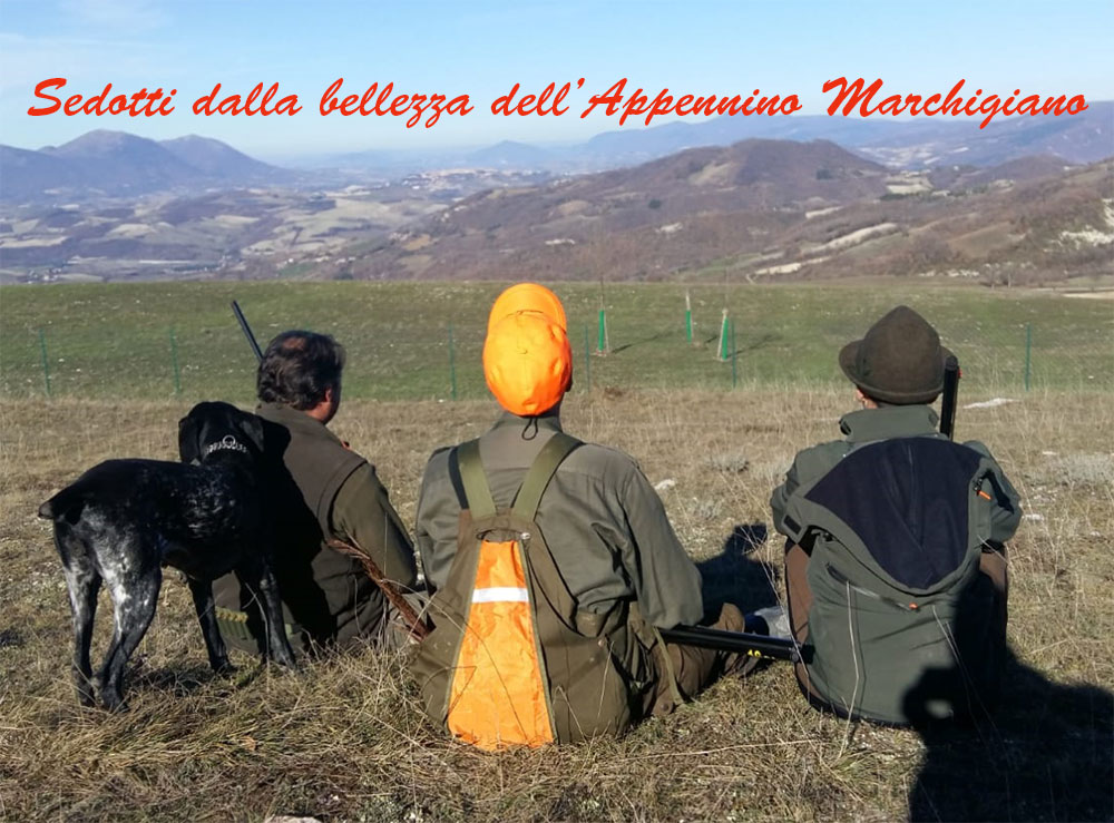 benelli caddy caccia a valle di fiordimonte