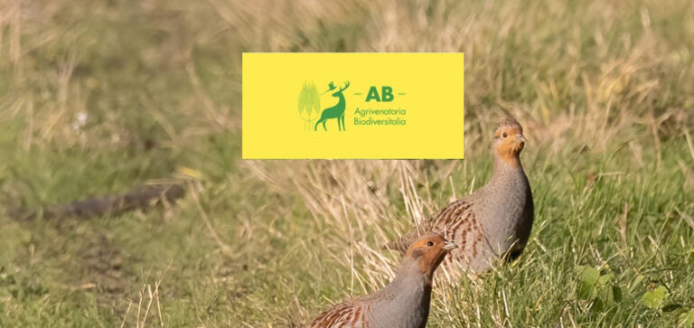 PARERI SULLA STARNA. AGRIVENATORIA BIODIVERSITALIA CHIEDE SPIEGAZIONI AD ISPRA
