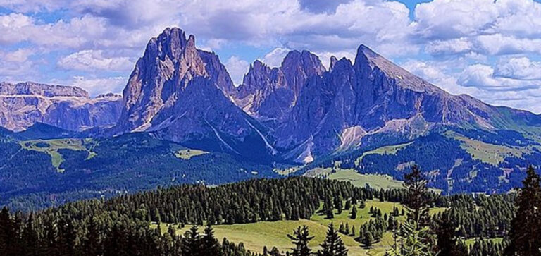 CACCIA IN ALTO ADIGE: NUMERI DA RECORD E CRESCITA DI GIOVANI E DONNE