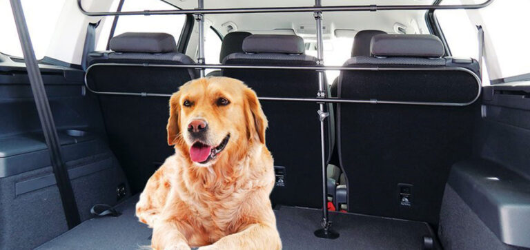 TRASPORTO ANIMALI: FEDERCACCIA INFORMA