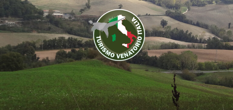 TURISMOVENATORIO.IT RILANCIA ANCORA