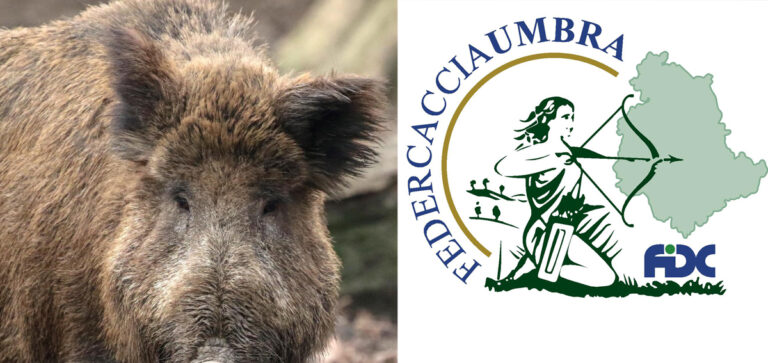 CALENDARIO VENATORIO 2020-21 UMBRIA: CRITICHE DI FEDERCACCIA UMBRA