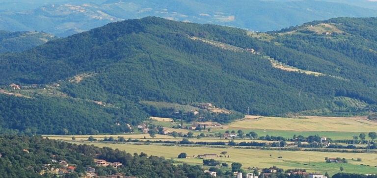 UMBRIA CALENDARIO 2020-21: LE PROPOSTE DI FEDERCACCIA UMBRA ED ENALCACCIA
