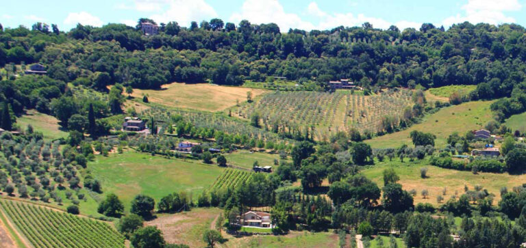 UMBRIA: CALENDARIO VENATORIO PREADOTTATO