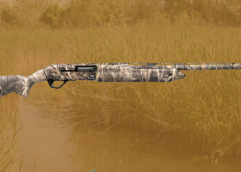 WINCHESTER SX4 CAL. 12: ANATRE NEL MIRINO