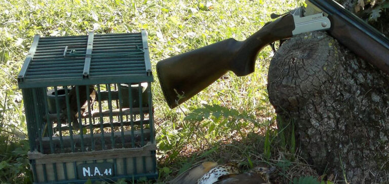 MULTE WWF IN UMBRIA: ANLC CHIEDE DI SEGNALARLE PER IL RIMBORSO