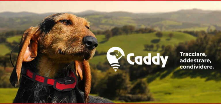 BENELLI CADDY ….. LA CACCIA E’ SOCIALE