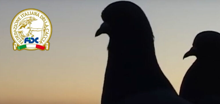 FEDERCACCIA E LA RICERCA SUGLI UCCELLI MIGRATORI
