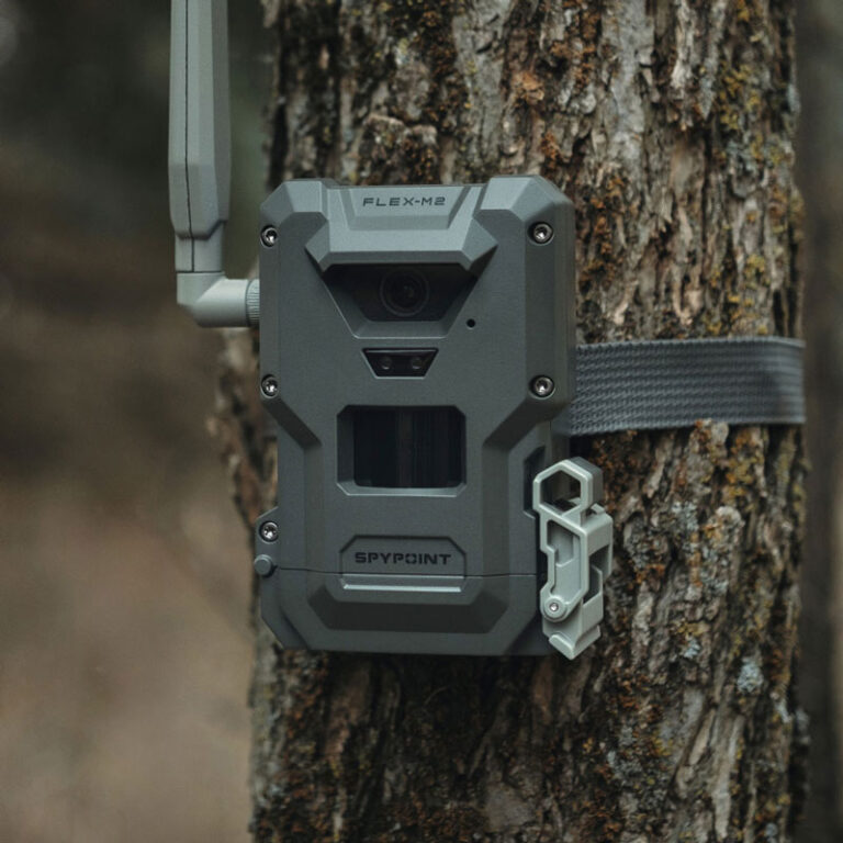fototrappola SPYPOINT FLEX-M2