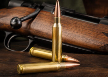 .308 Winchester per la caccia