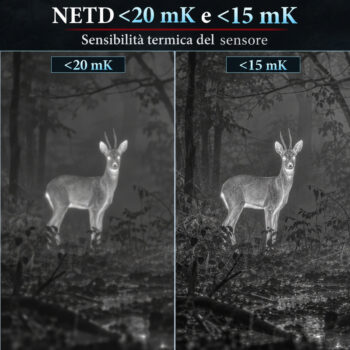 NEDT