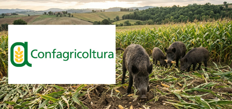 CONFAGRICOLTURA: IL DDL CACCIA PER L’EQUILIBRIO TRA AGRICOLTURA E FAUNA