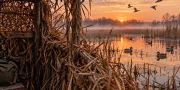 CACCIA E BIODIVERSITÀ: IL PROGETTO DEDICATO AI CAPANNI CHE VEDE PROTAGONISTI I CACCIATORI