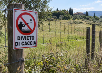 caccia nei fondi privati in Toscana