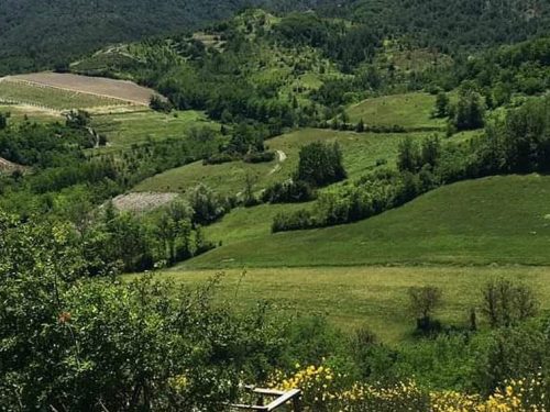 RISERVA DI CACCIA LA LAVAGNINA IN TURISMOVENATORIO.IT