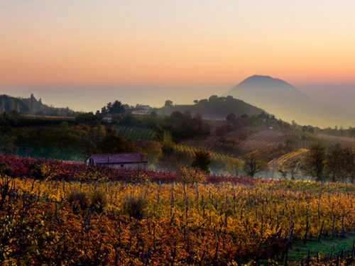 VENETO. PERIMETRAZIONE PARCO COLLI EUGANEI: PUNTO DI VISTA DI SINDACI E REGIONE