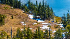 TRUMP MODIFICA LA CACCIA IN ALASKA