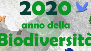 FIOCCHI. BIODIVERSITA’: RUOLO DEI CACCIATORI RICONOSCIUTO DALL’UE