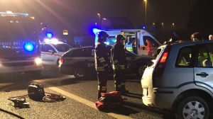 CINGHIALI E CIRCOLAZIONE STRADALE: DISASTRO IN AUTOSTRADA