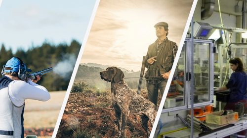 LA CACCIA AL PARLAMENTO UE