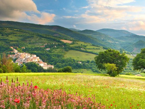 FEDERCACCIA UMBRA: REGIONALE  AL RINNOVO CON UNA LISTA UNITARIA